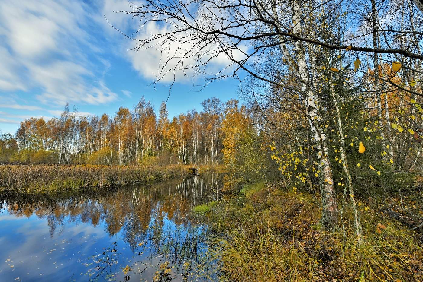 В последних числах октября ...