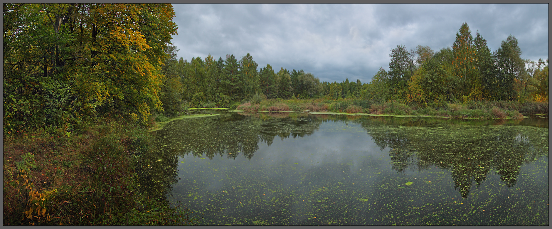 Осенняя тишина