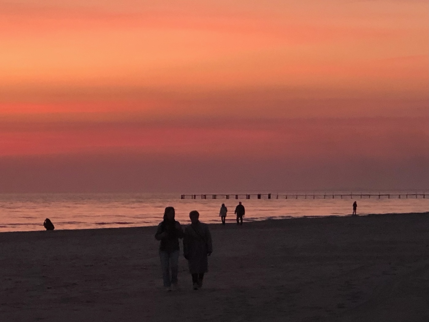 Вечерний моцион