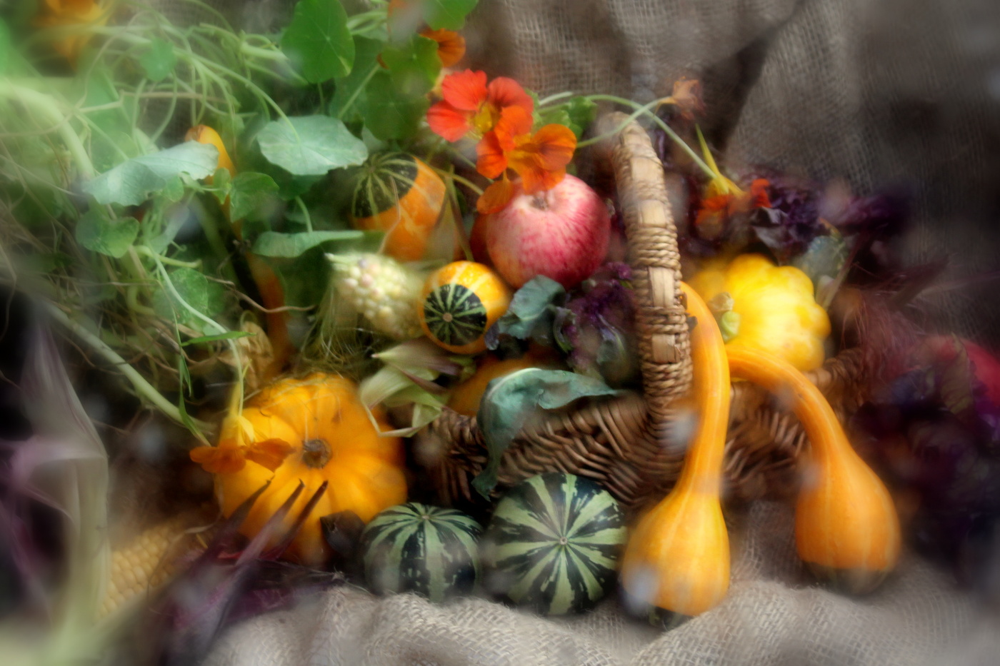 Осенний натюрморт!