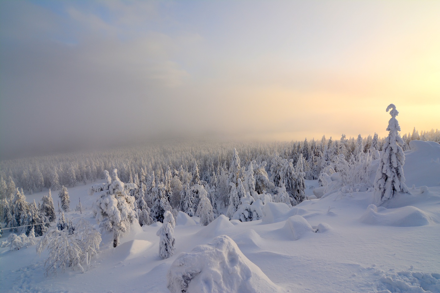 Зимнее утро.