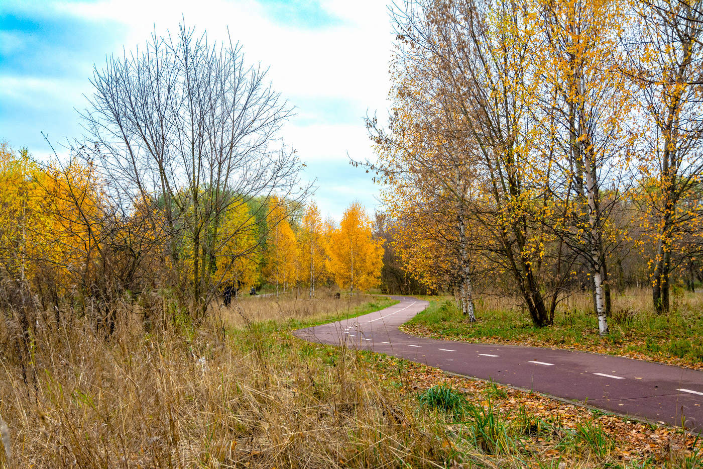 осенние зарисовки