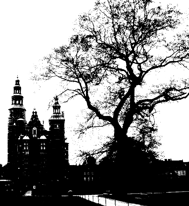 Графика живого и неживого