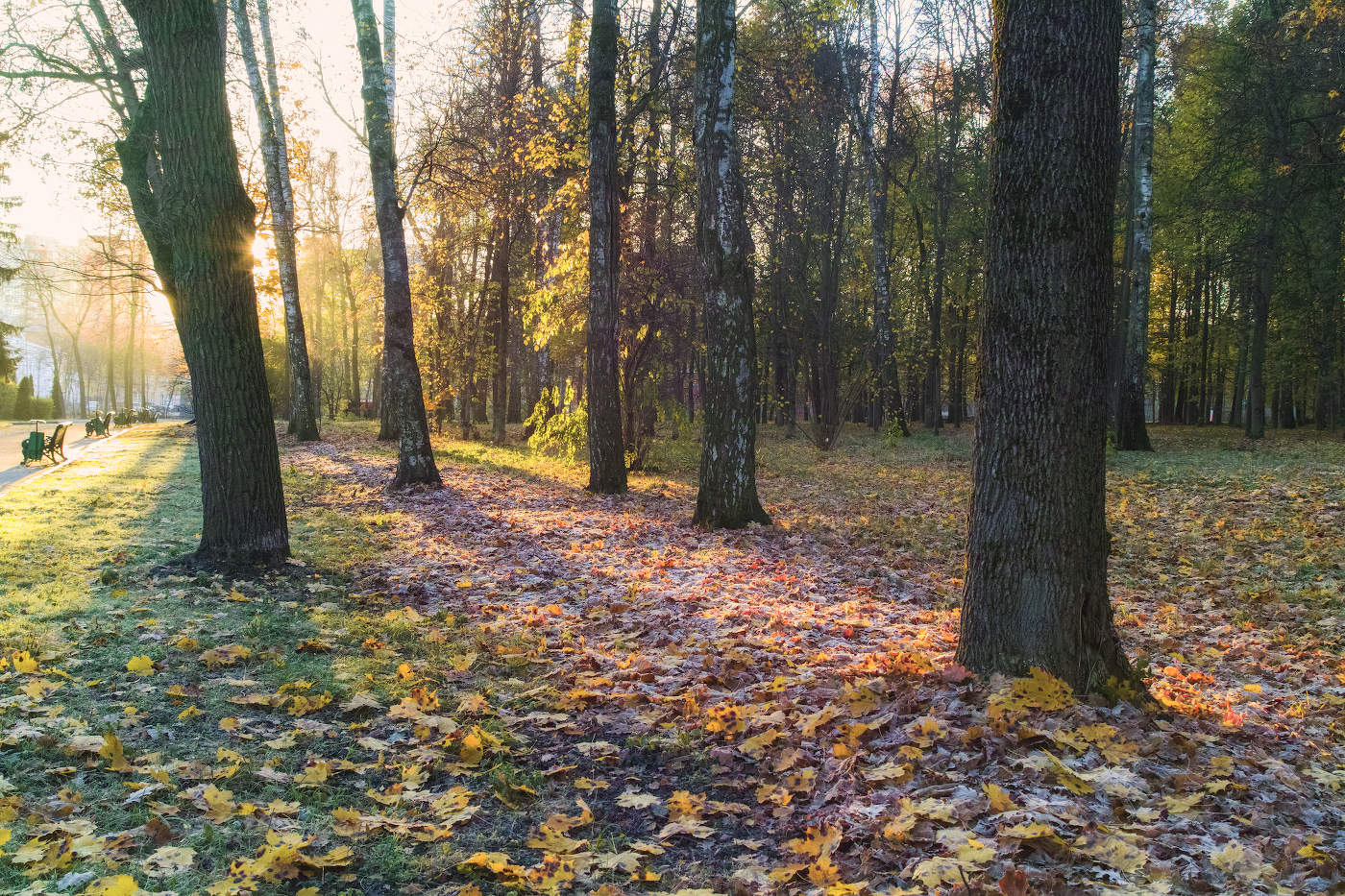 Первые заморозки