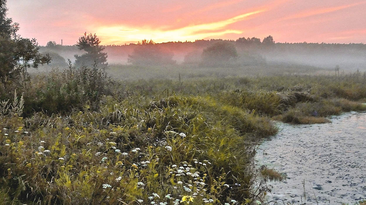 Вечерняя туманная заря