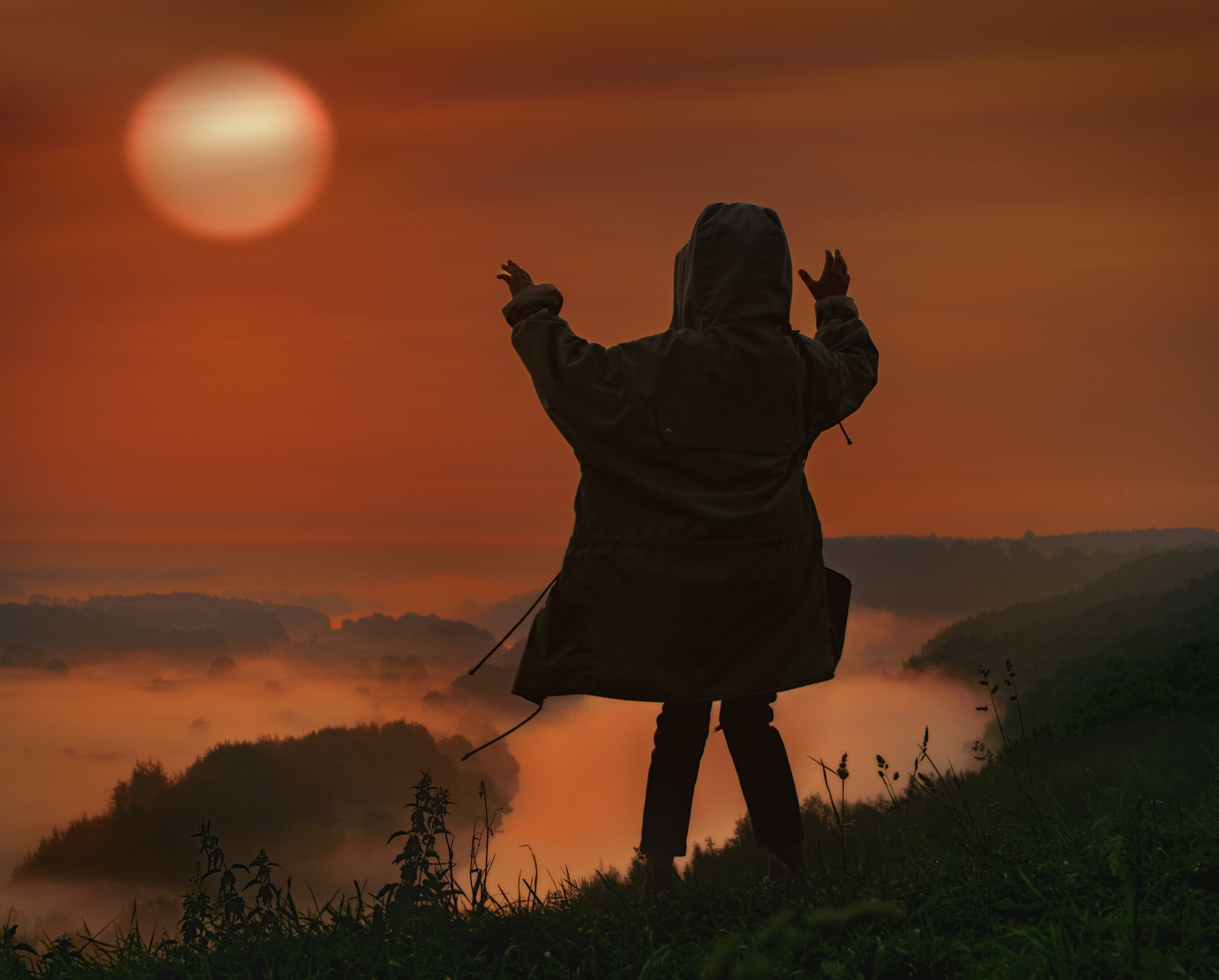 Приветствуя новый день