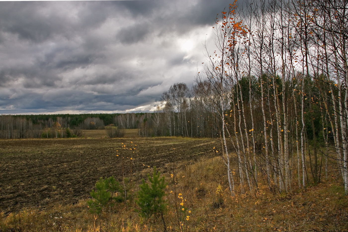 Осенним днём.