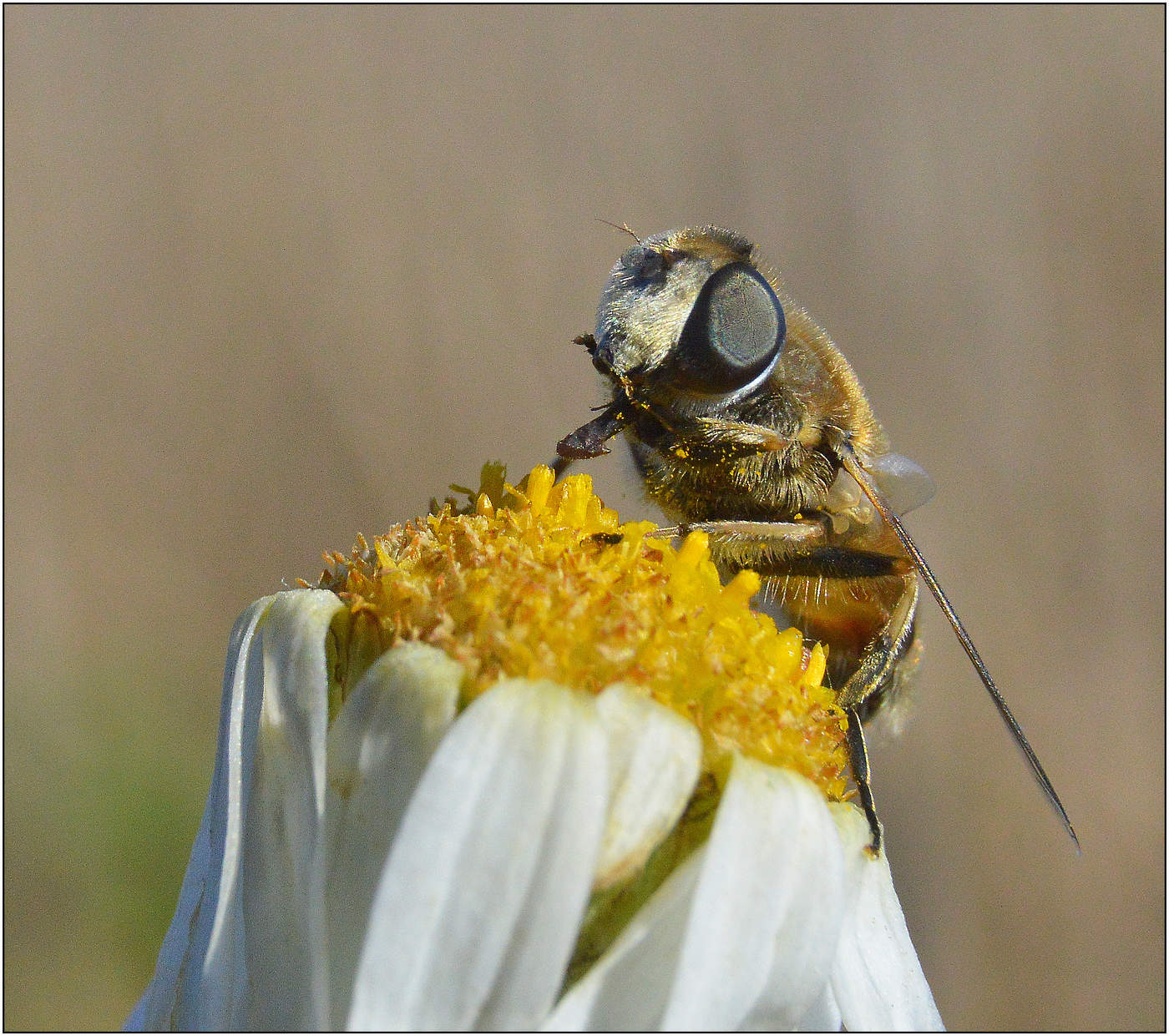 Вкусно, ...пальчики оближешь...