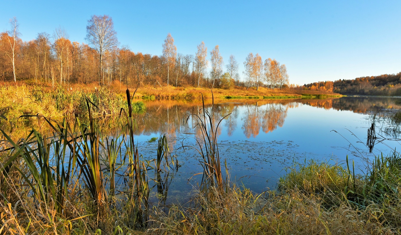 "Октябрь, нынче, на дворе ..."