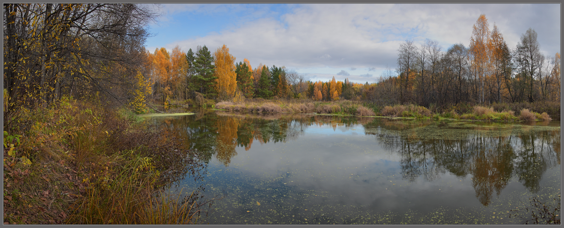 Осенняя тишина