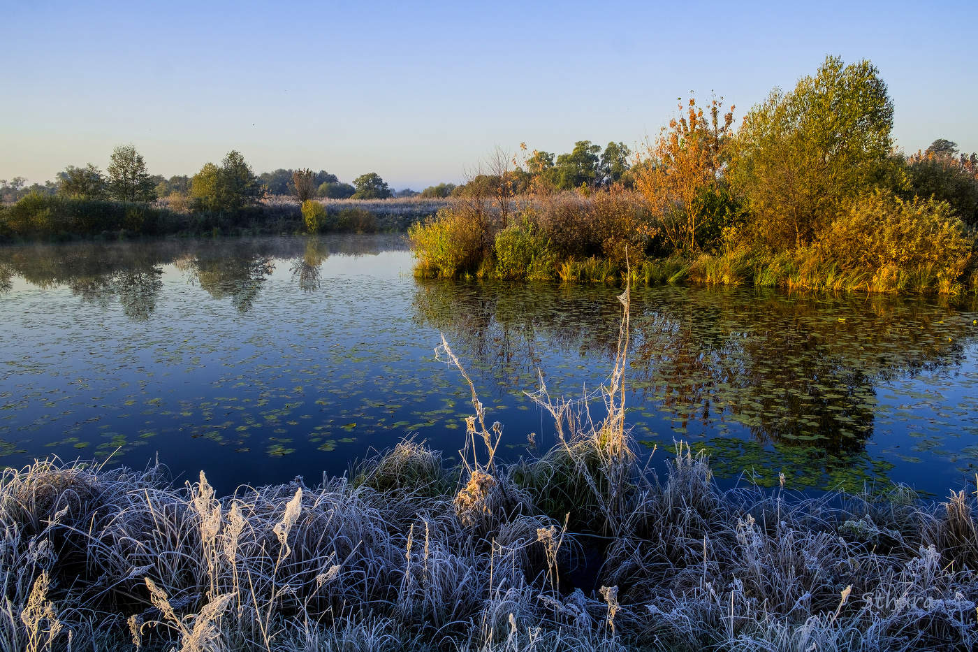 Утро. Озеро Сосновое.