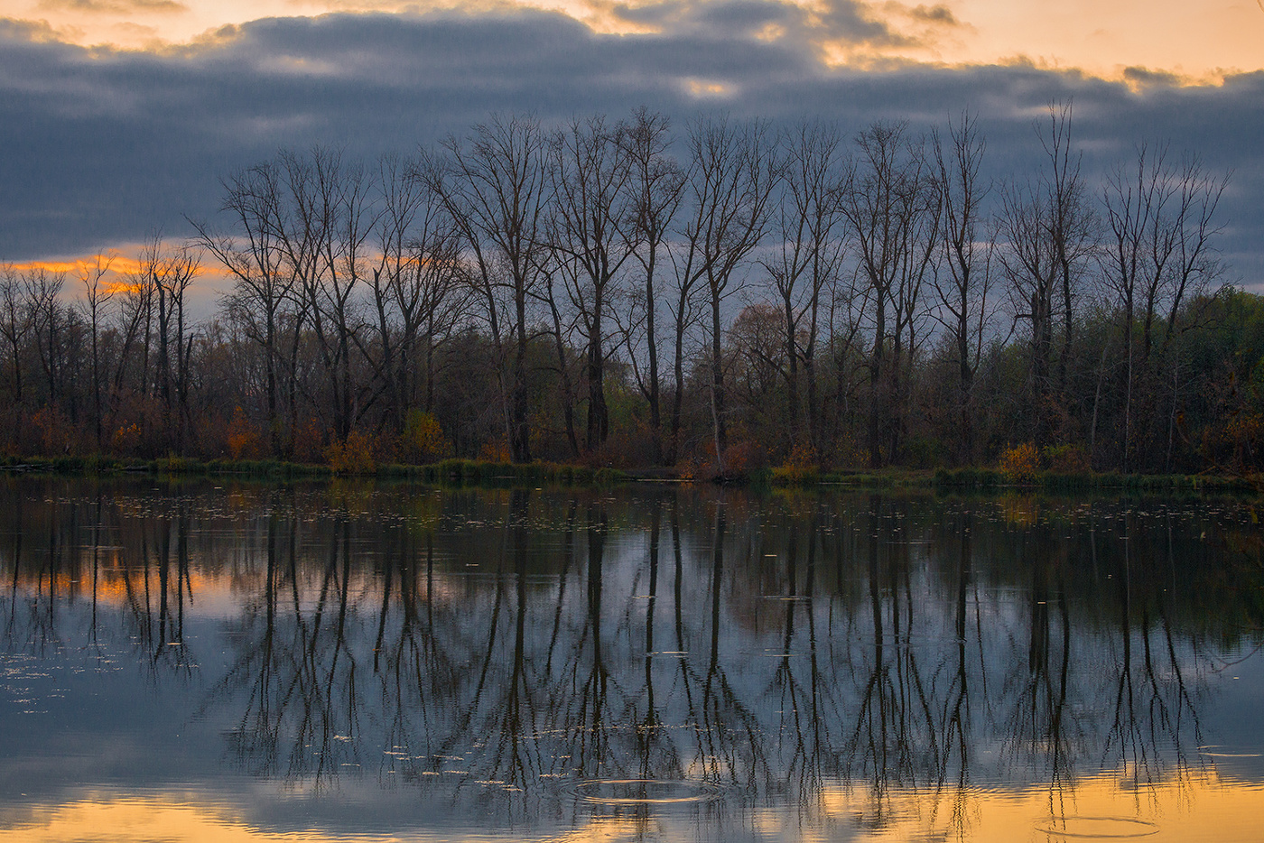 Отражение...