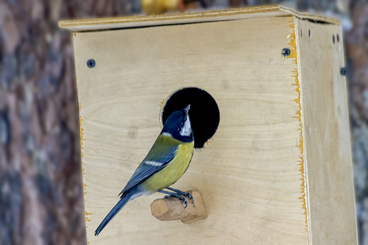 Жилконтроль