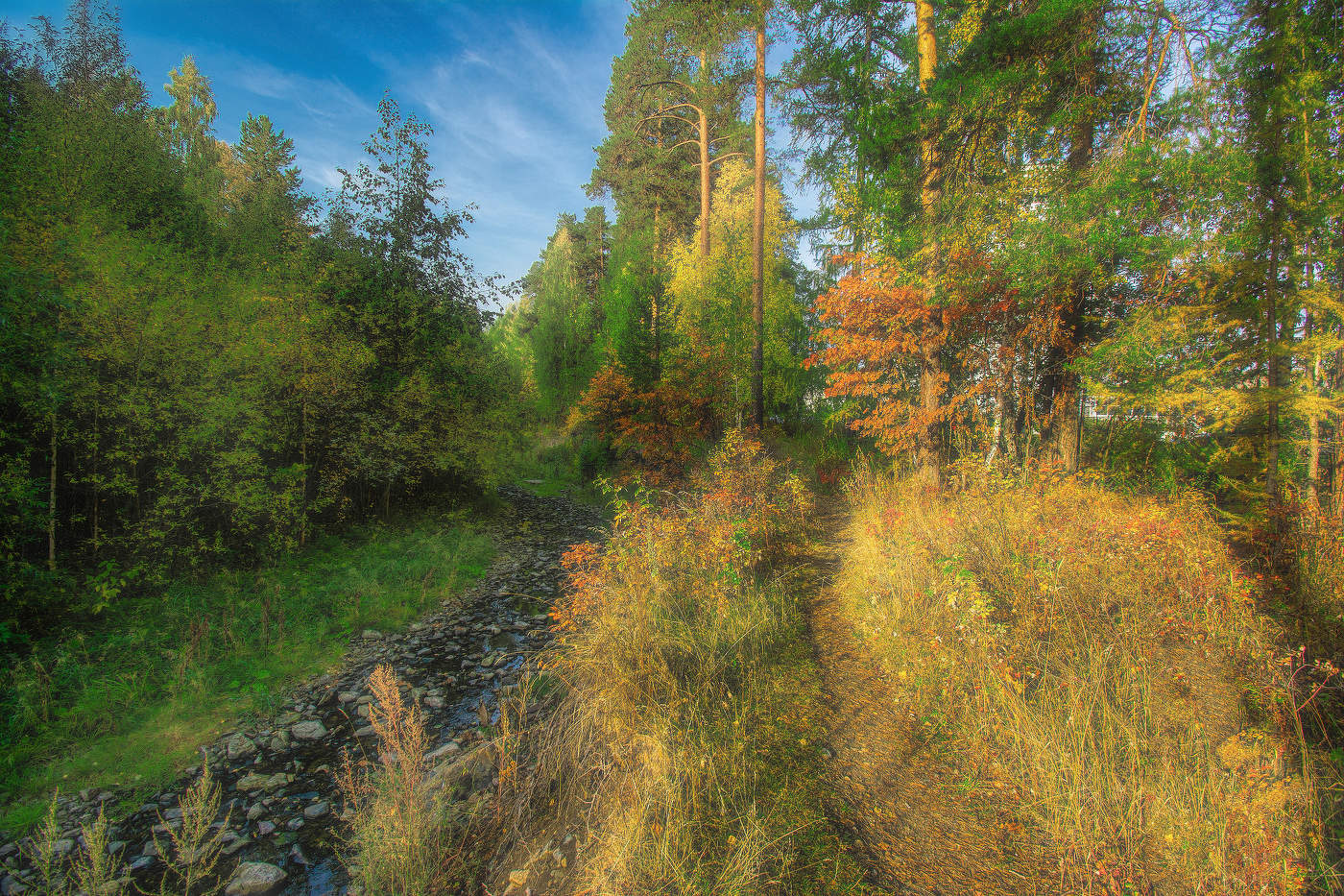 Осенняя тропинка