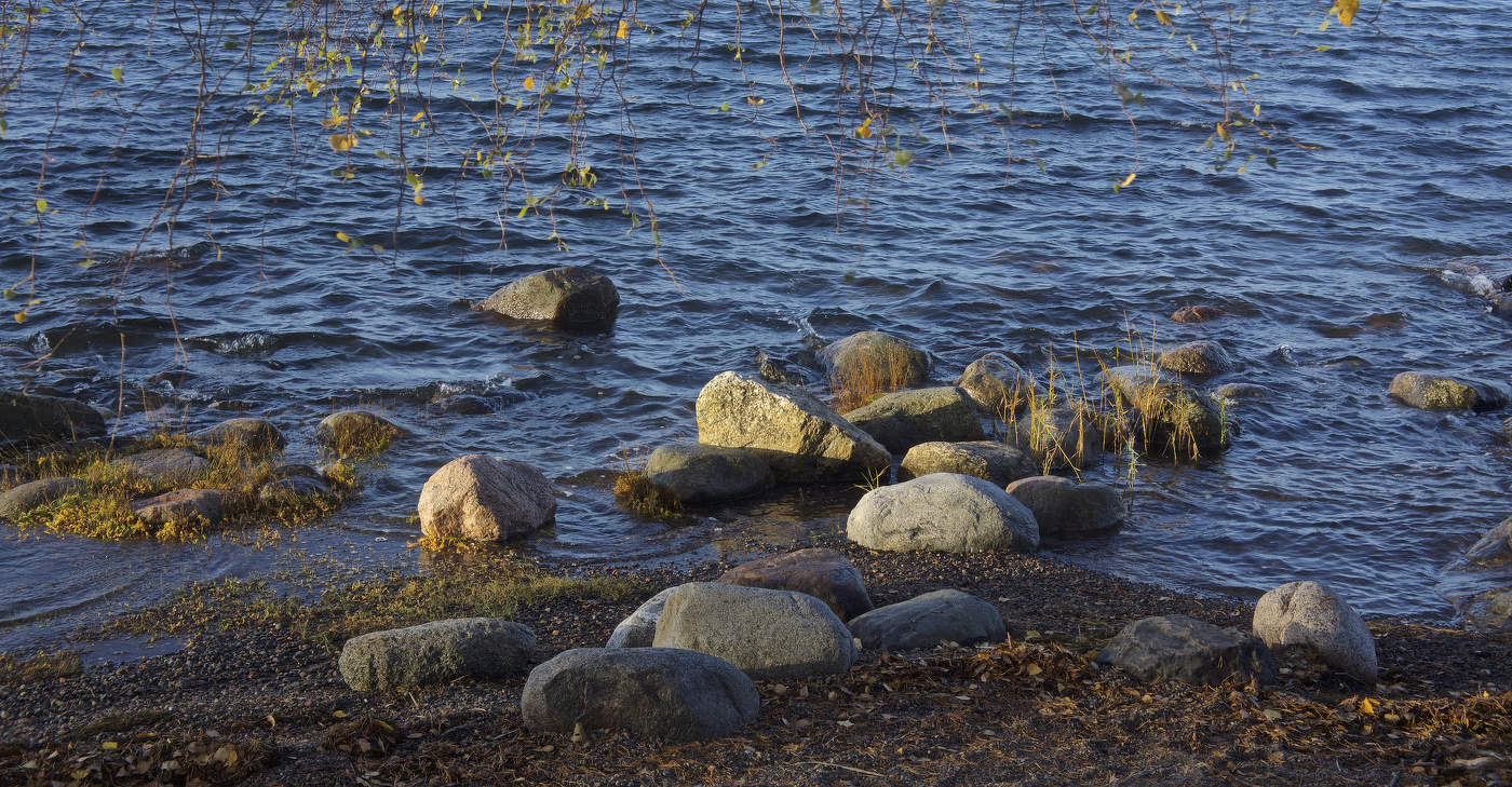 «У осени особенная грусть…» III