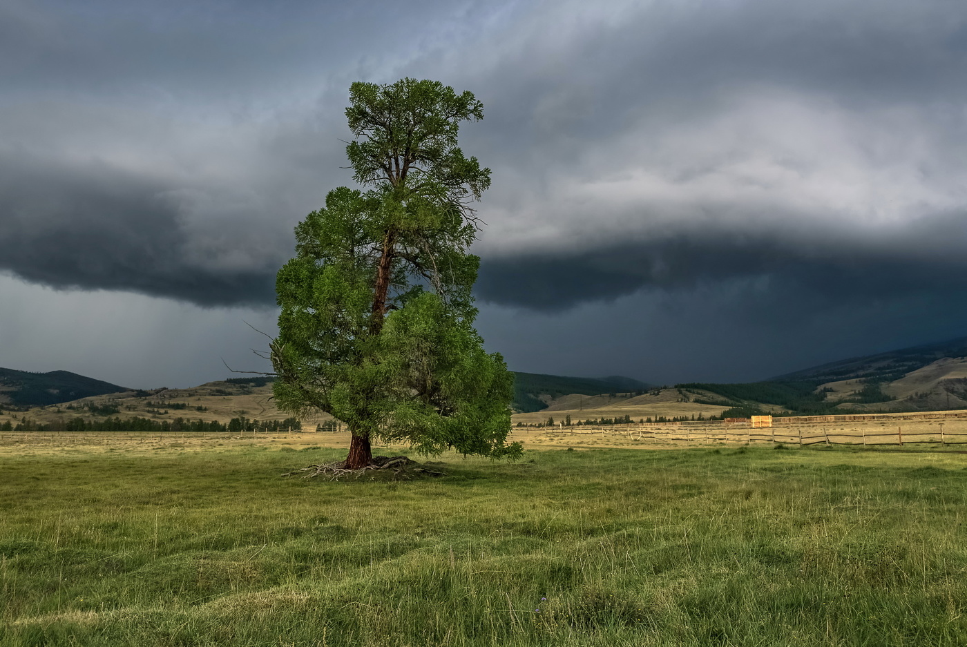 Снеговая туча
