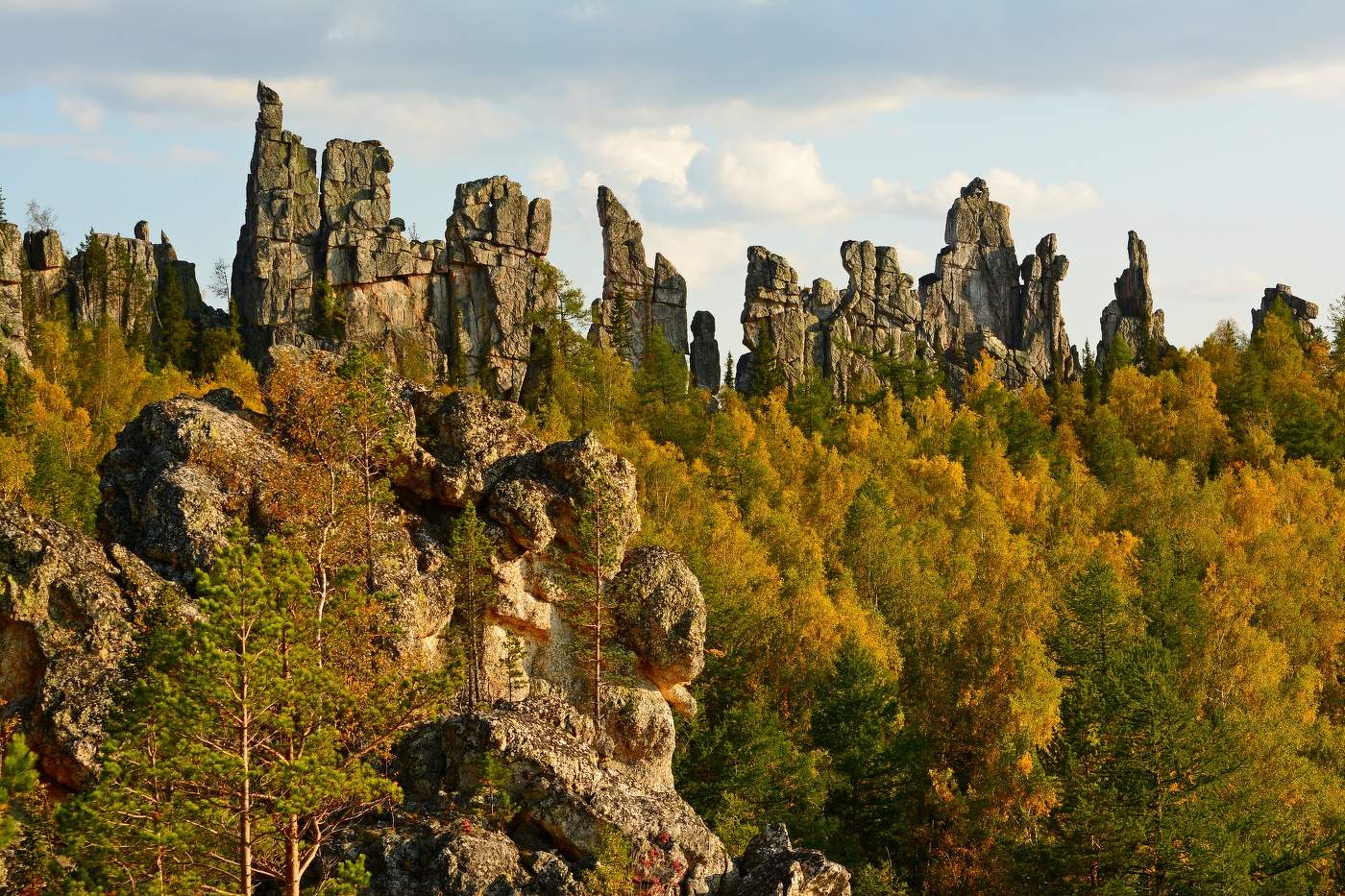 Инзерские зубчатки.