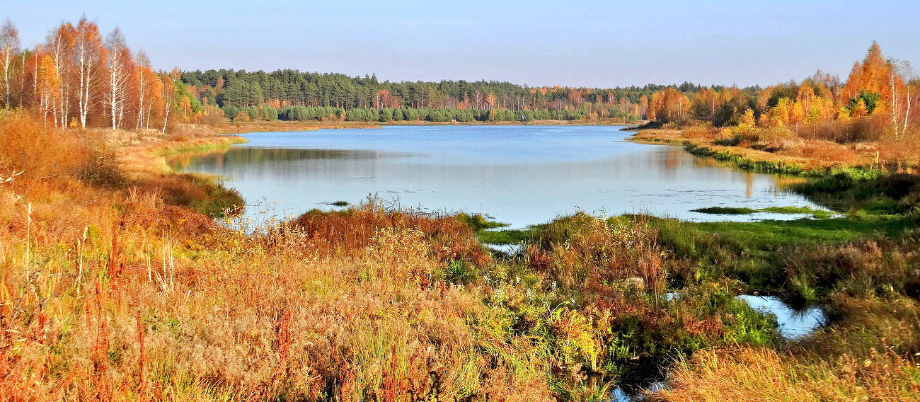 Осенние краски вокруг озера