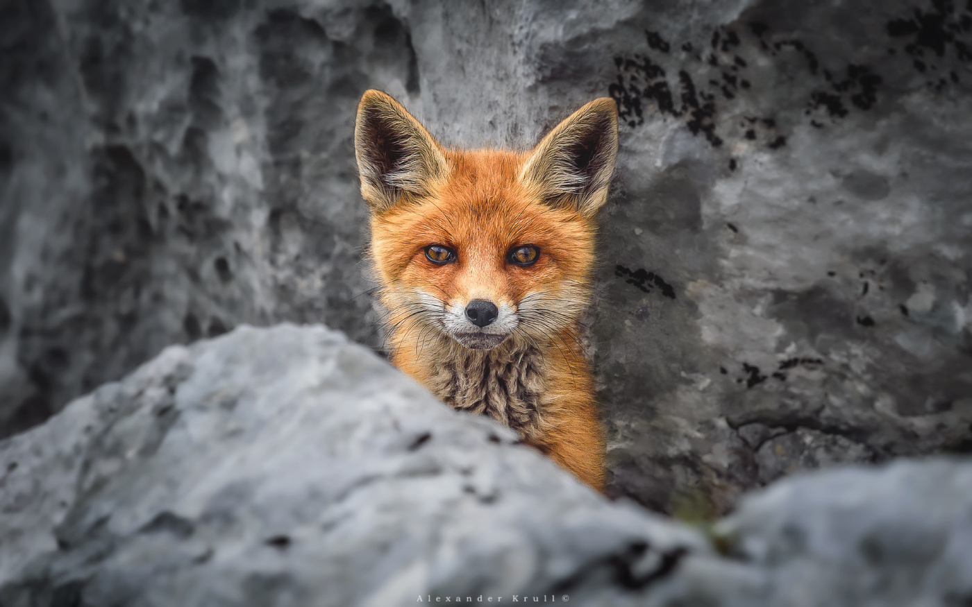 Настороженность