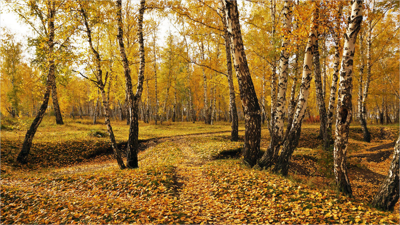 Тропинками золотой осени