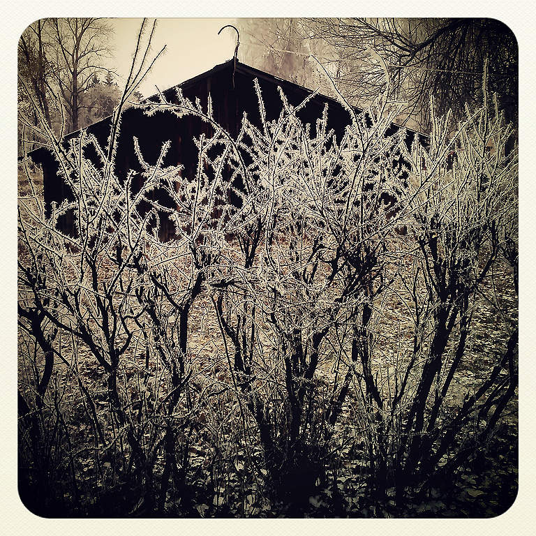 Одна снежинка – ещё не снег