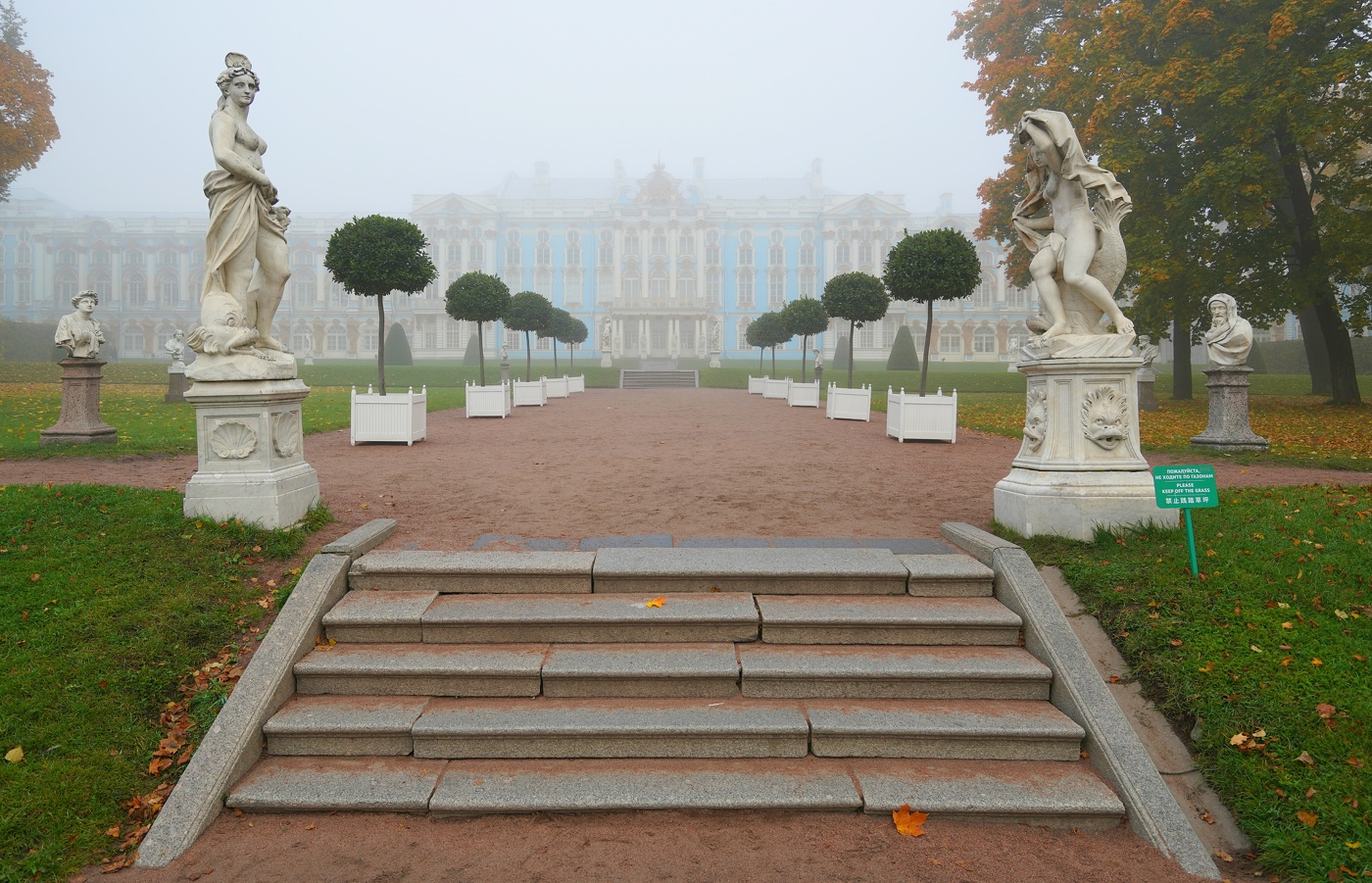 Осеннее утро