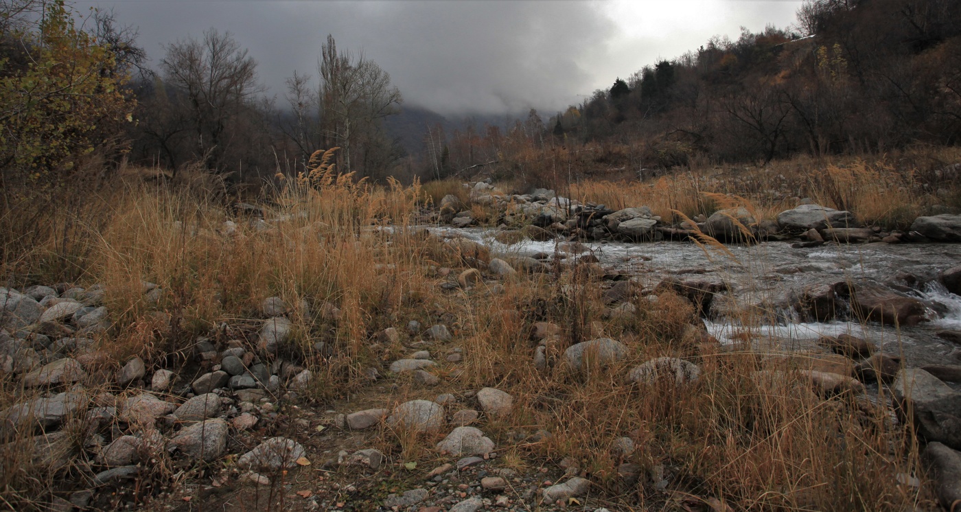 Октябрь на исходе