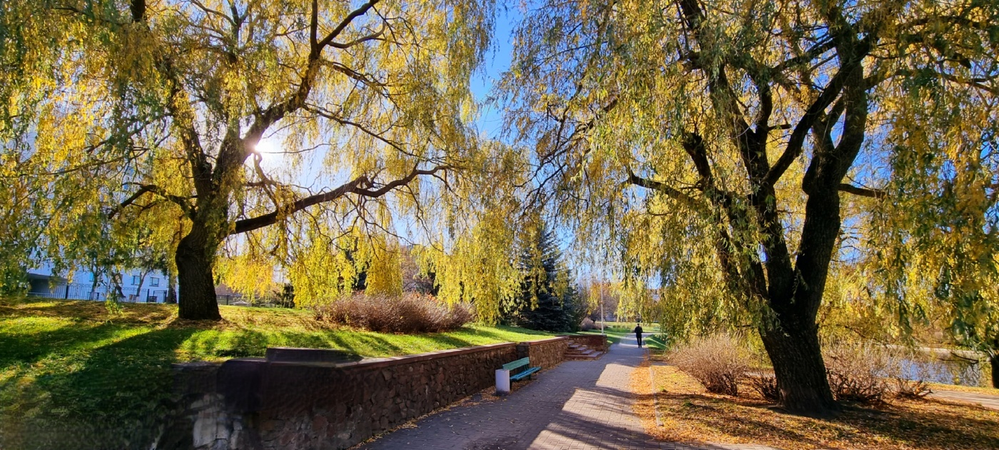 Прозрачные кружева осени...