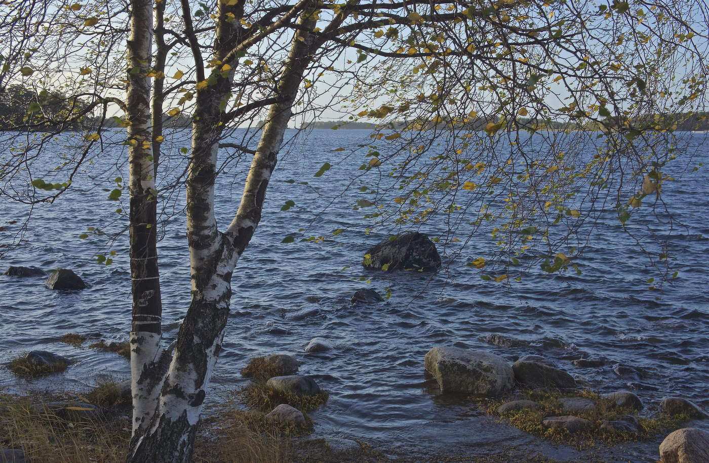 «У осени особенная грусть…» II