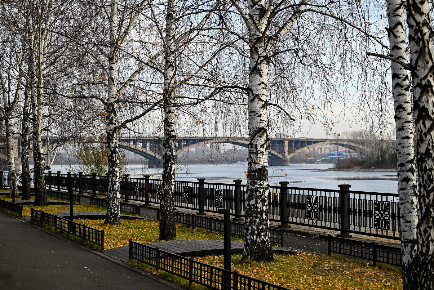 Красноярск. Осень.