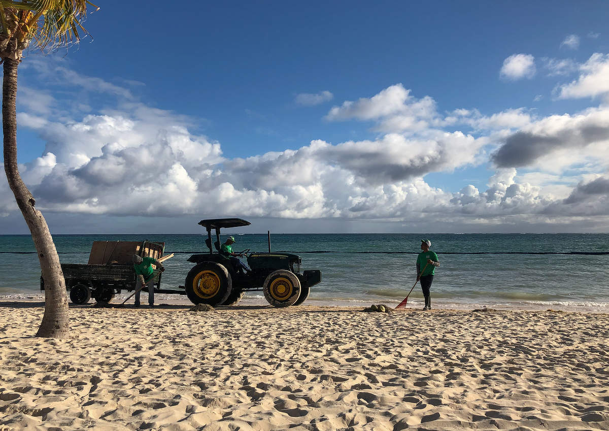 утро на океане