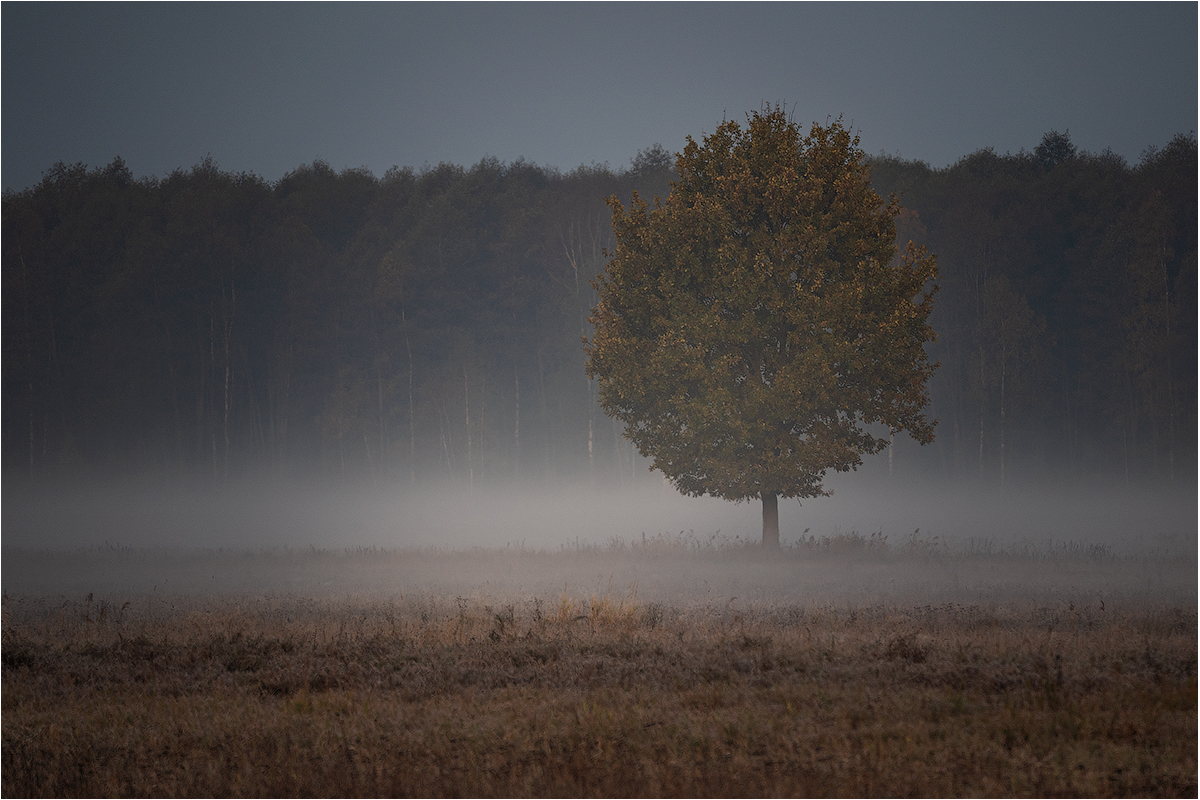 Одиночество №2...