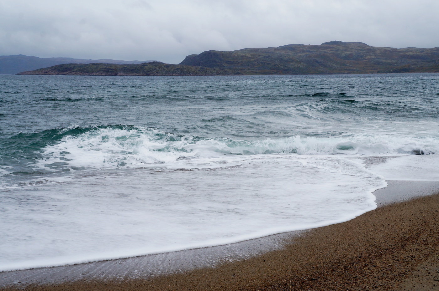 Сегодня ластится...