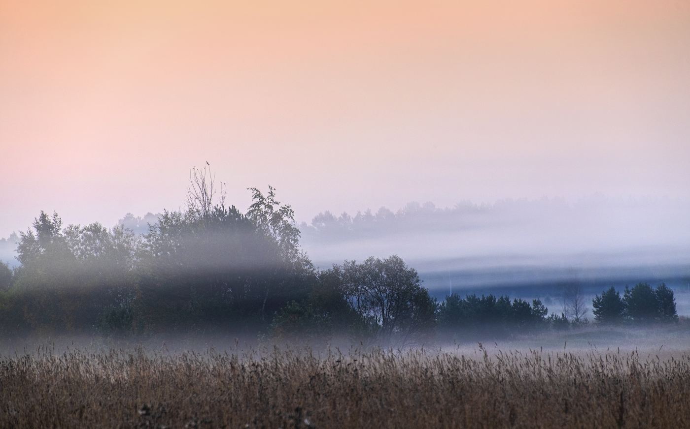 Сиреневый туман