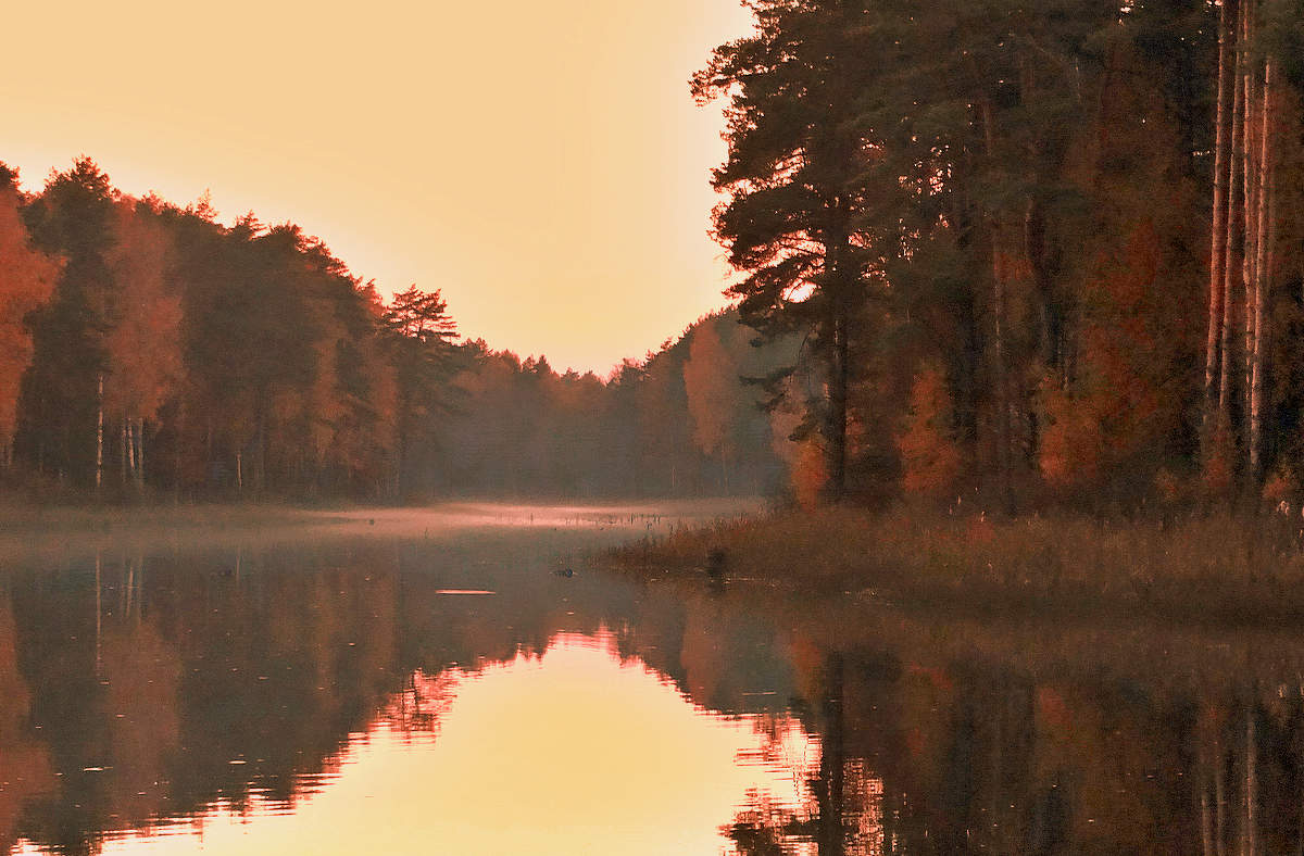 Осенняя вечерняя зарисовка