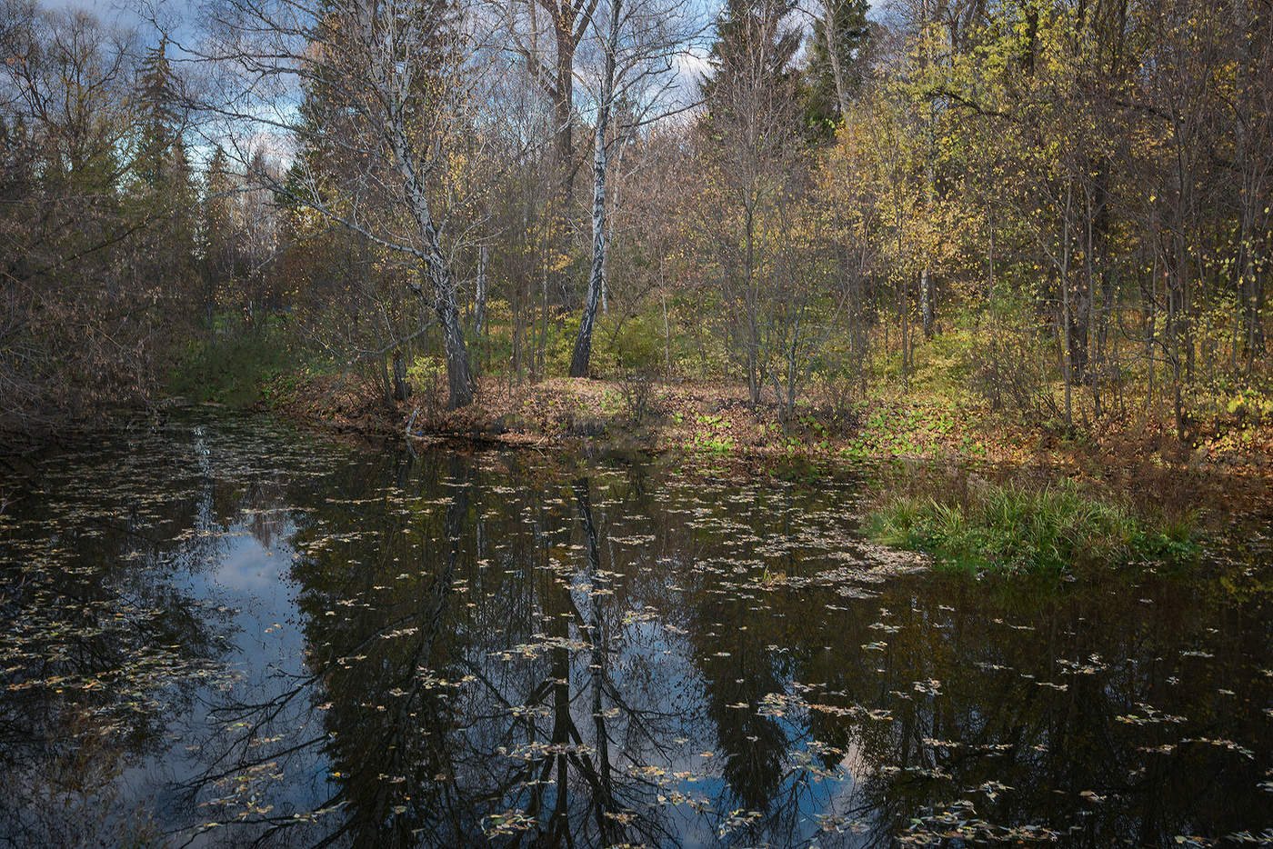 Старый пруд...