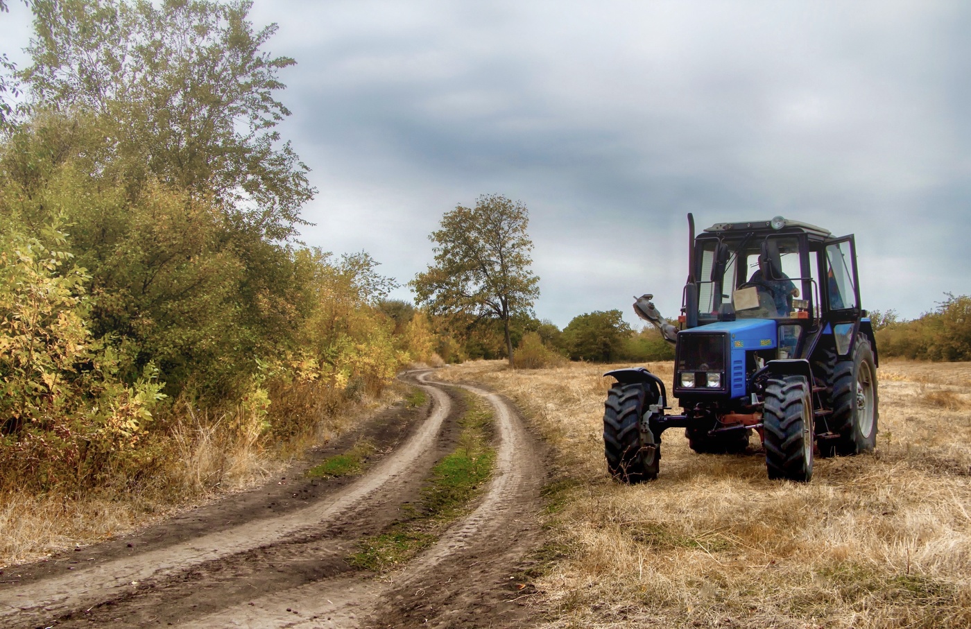 Косил Ясь конюшину