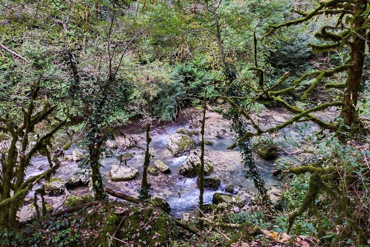 Дикая река.