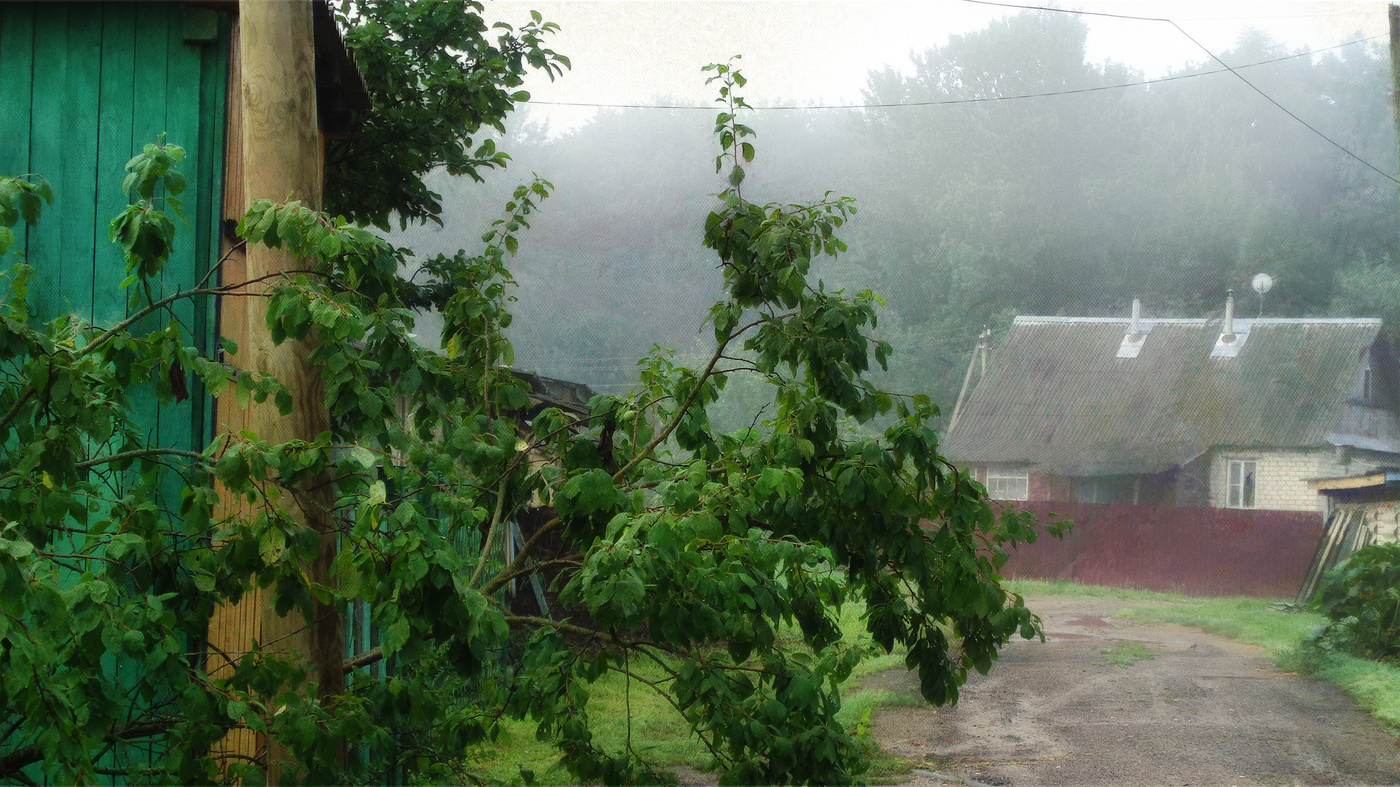 Из серии "Страна Скобария".