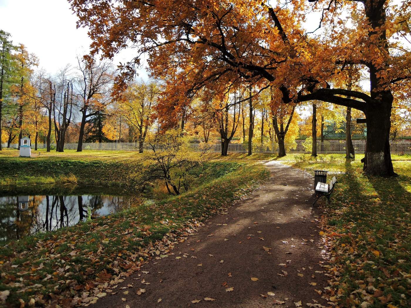 тропинками Осени