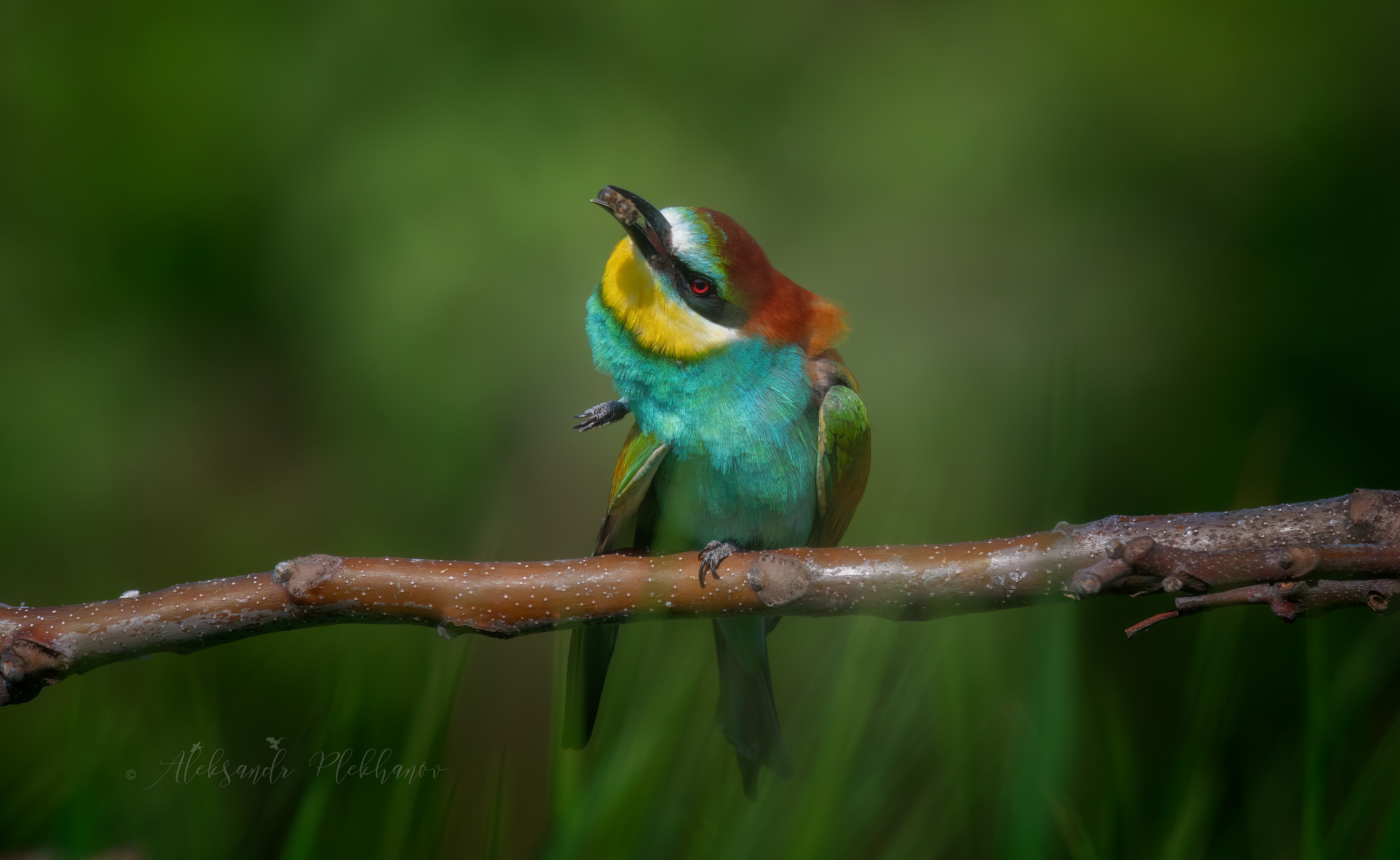 Библиотека там ...