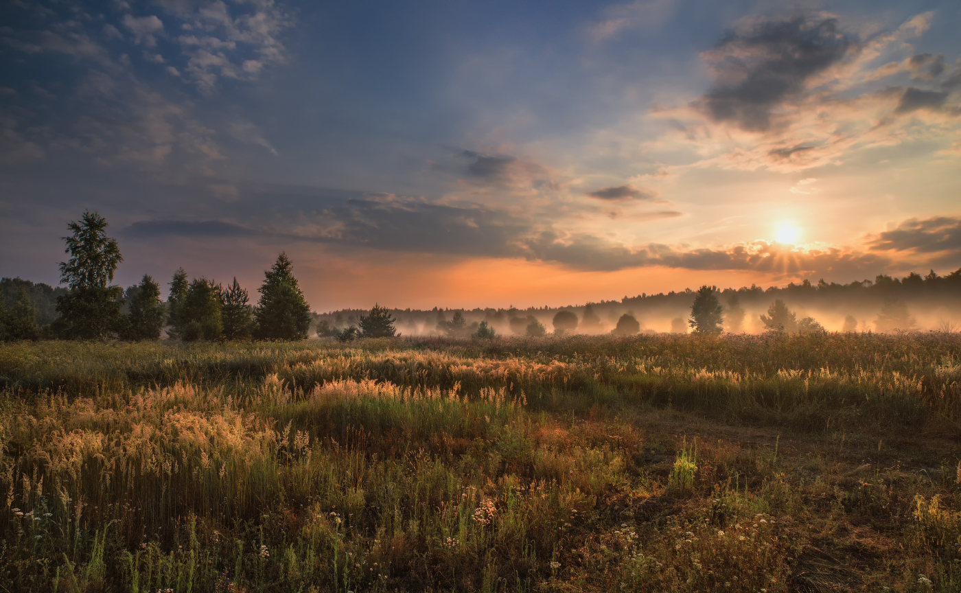 пробуждение