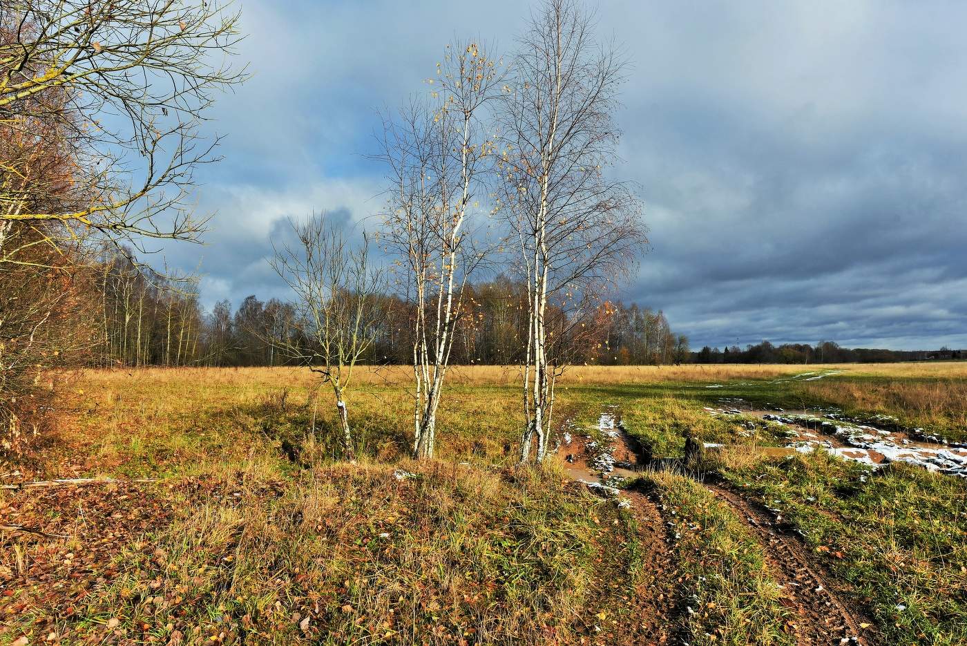 "Платье осени скудно и возраст снежит ..."