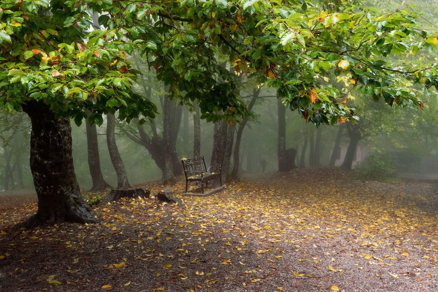 Осенняя грустинка