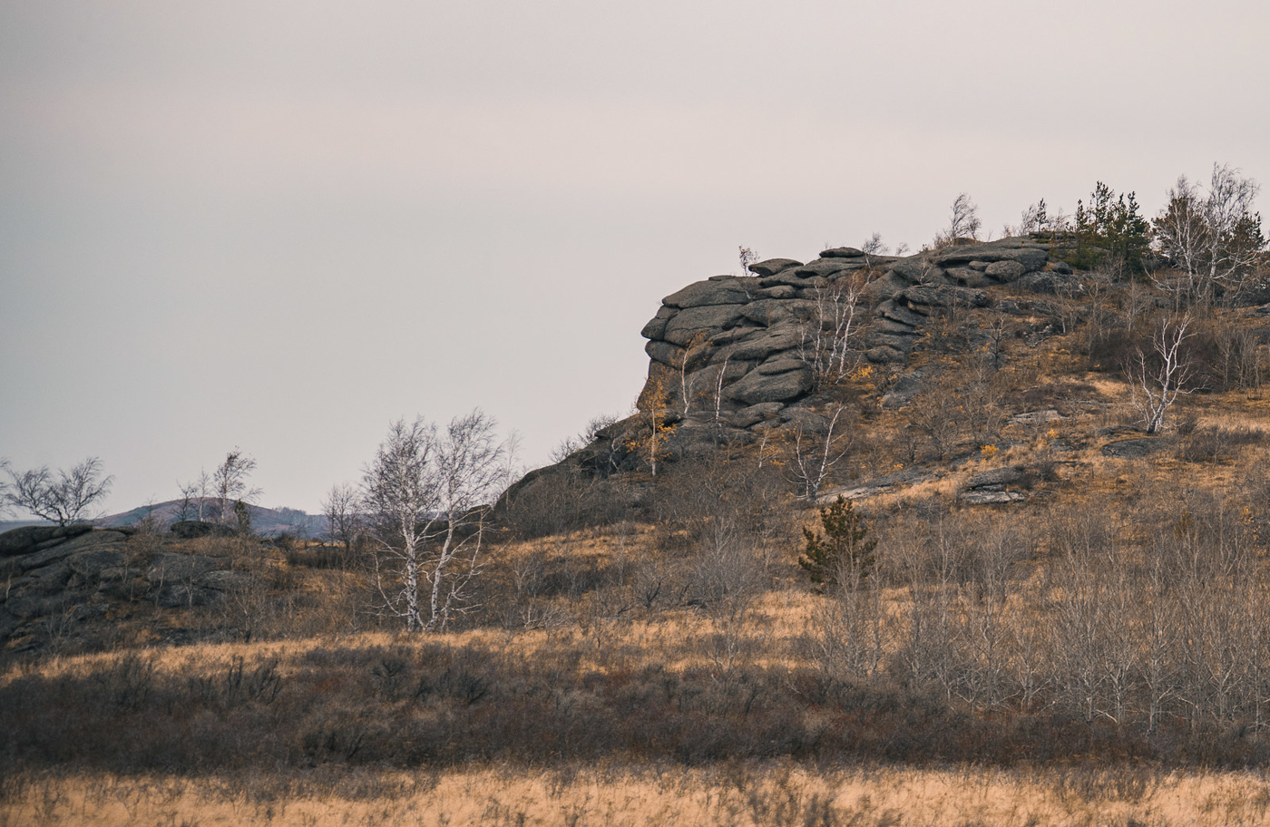 Суровый профиль