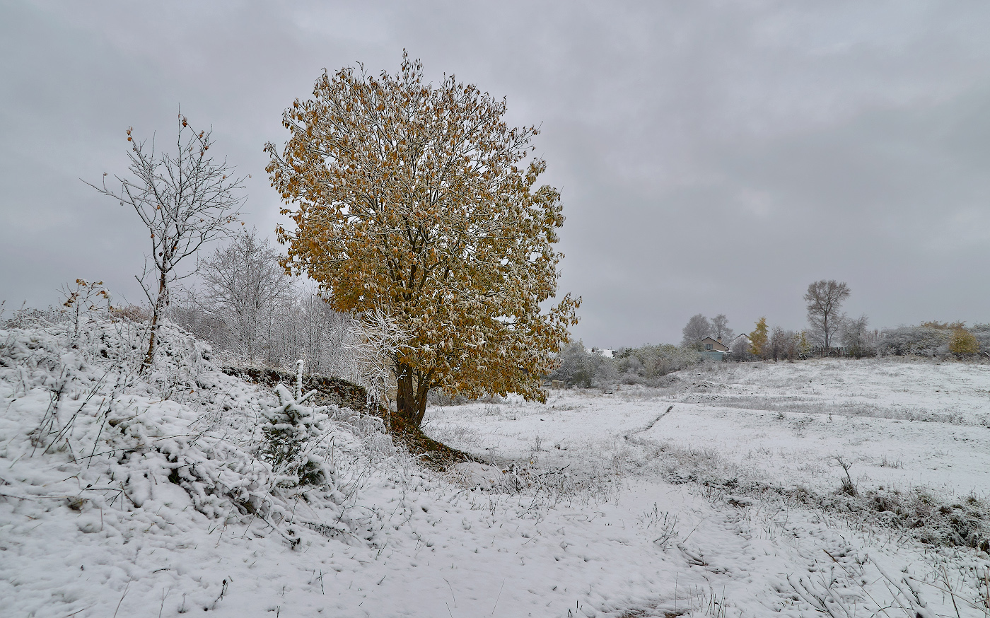 Первый снег