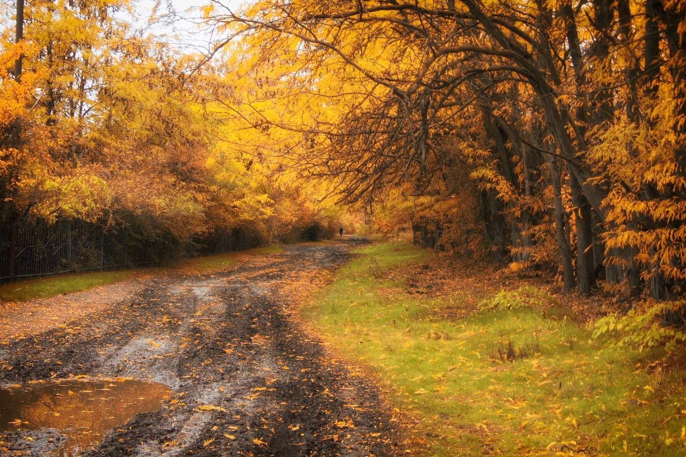 С последними лучами Солнца