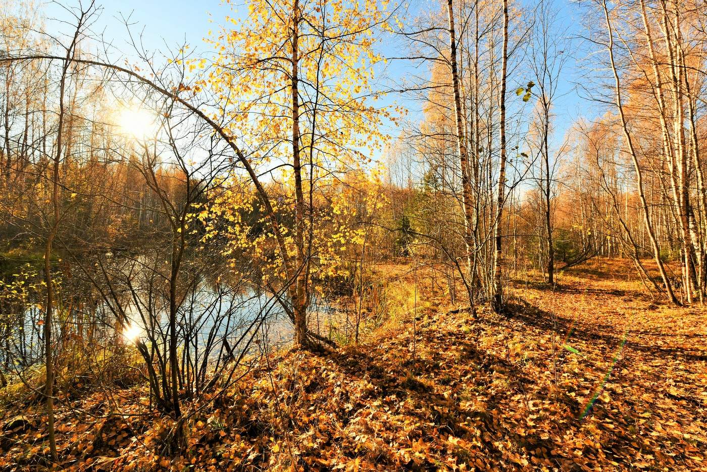 "Пожар! О, Осень, пожалей, не так пали!..."