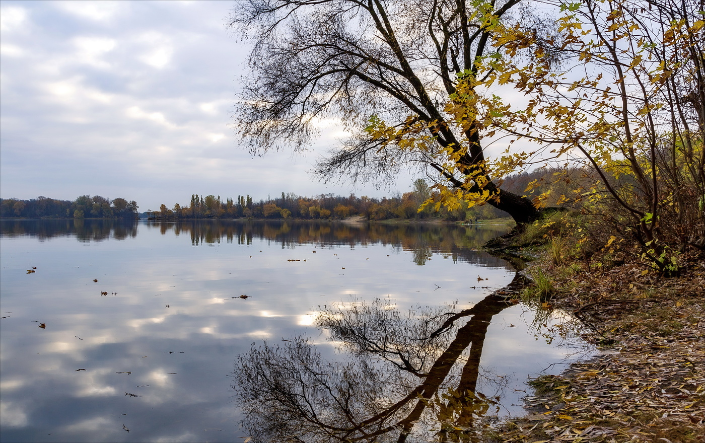 Лист Осенний на воде...