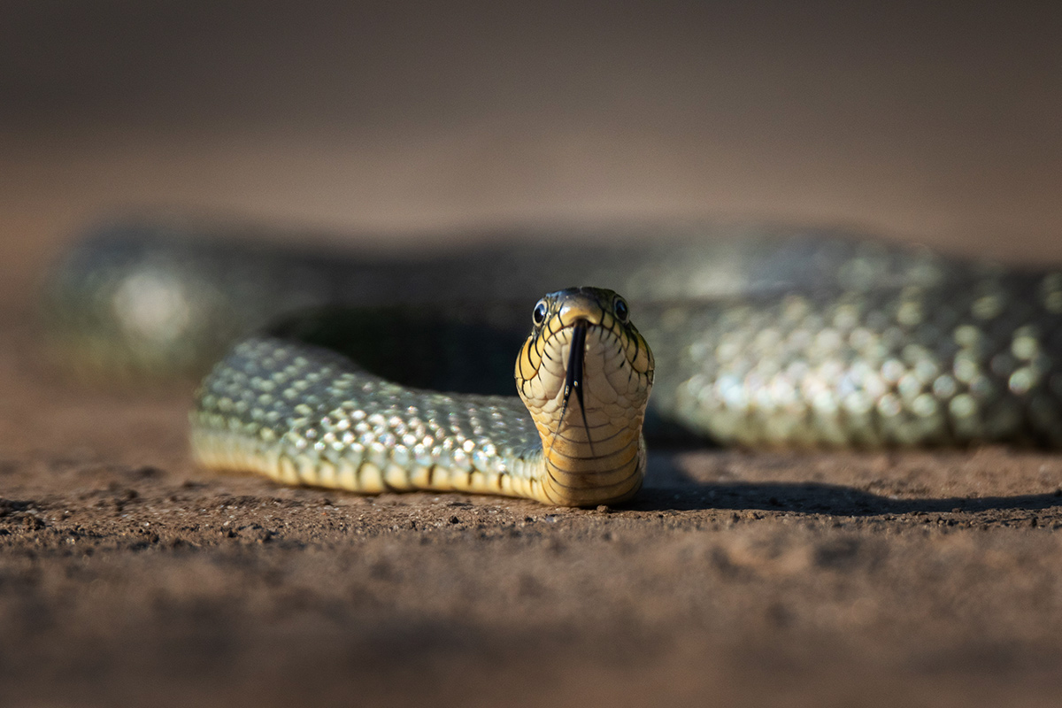 Добрый вечер :)